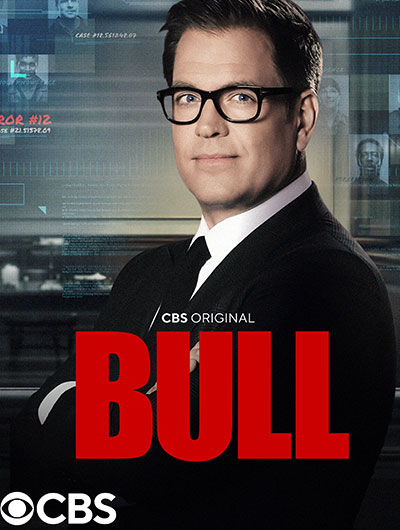 poster_bull